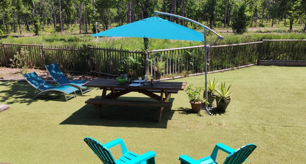 Chalet Prestige Au Coeur Du Bassin D'Arcachon 拉特斯特德布赫 外观 照片