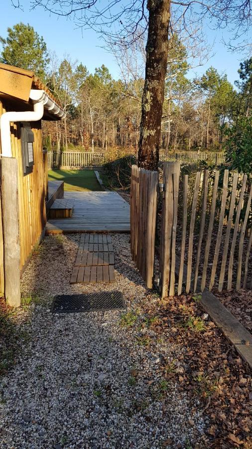Chalet Prestige Au Coeur Du Bassin D'Arcachon 拉特斯特德布赫 外观 照片