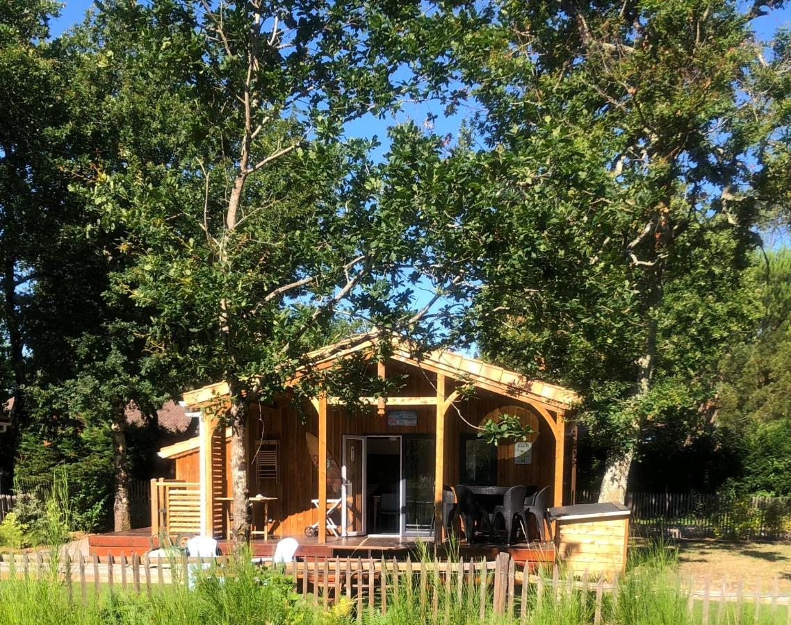 Chalet Prestige Au Coeur Du Bassin D'Arcachon 拉特斯特德布赫 外观 照片